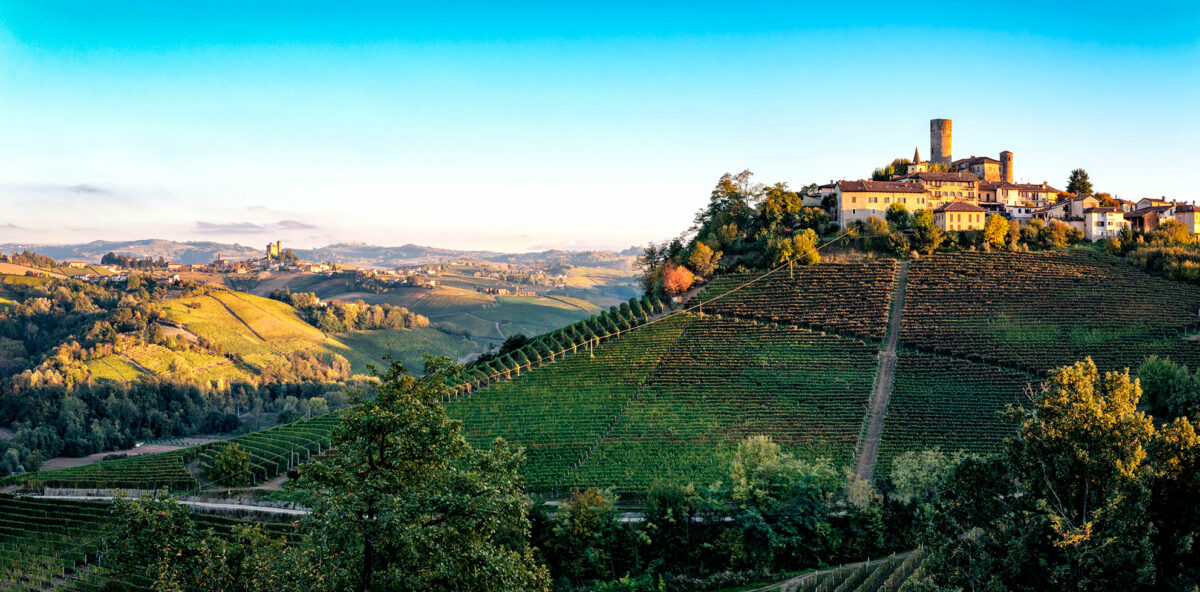 Die sanften Hügel im Piemont im Barolo-Gebiet