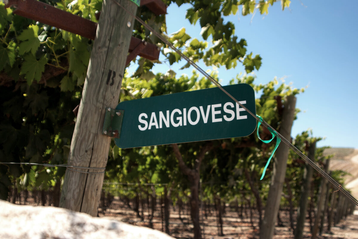 Schild an einem Weingarten, auf dem Sangiovese steht