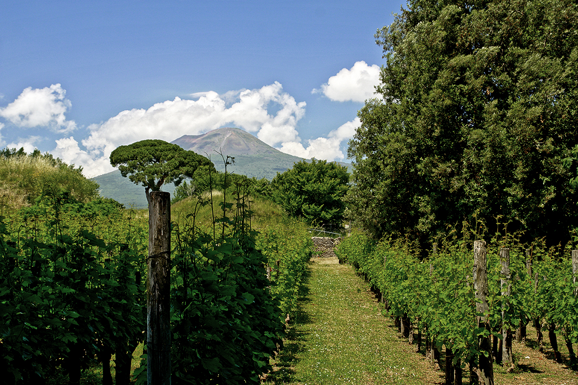 Weingut in der Nähe des Vesuvs