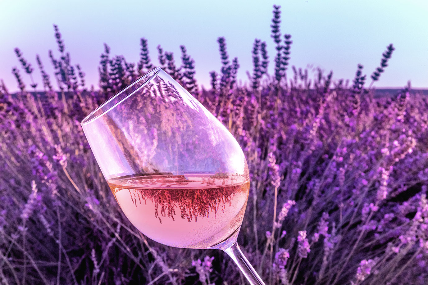 RoséWein Alle Infos zu Herstellung und Stilistik Wine in Black