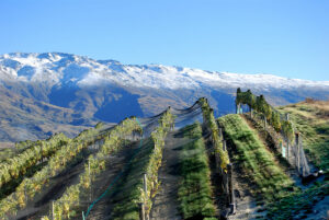 Weinregion Central Otago in Neuseeland