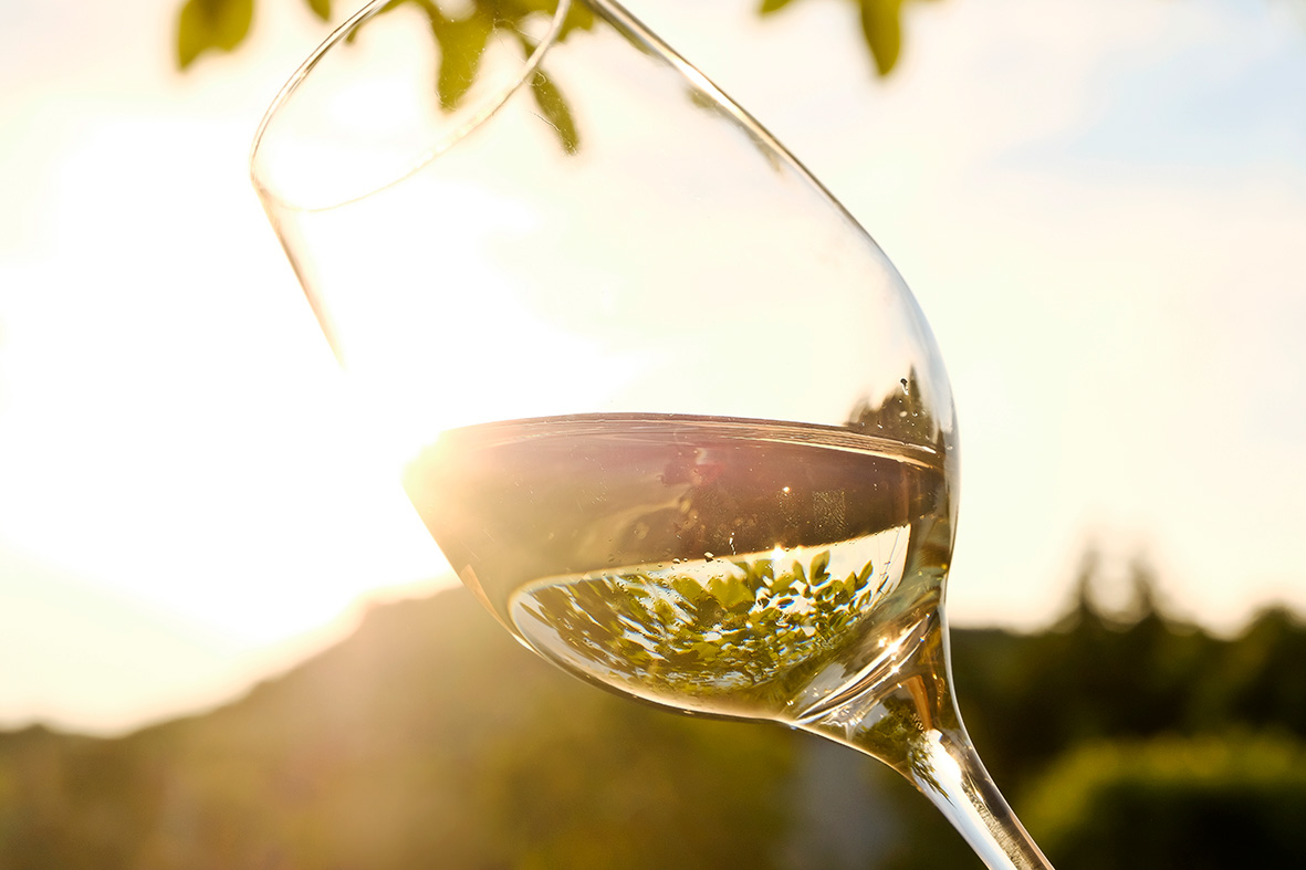 Ein Weinglas mit Chenin Blanc in der Abendsonne